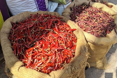 Sacs d'épices - Cochin - Kerala - Inde