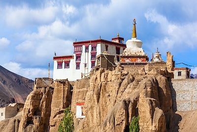 Randonnée avec mulet Ladakh