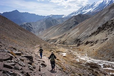 Trek dans la vallée Markha - Ladakh - Inde