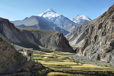 Vallée Markha et montagne Kang Yatse - Ladakh - Inde