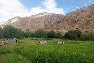 Campement - Markha - Ladakh - Inde