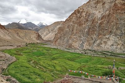 Vallée de la Markha - Ladakh - Inde