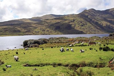 Killary Harbour - Comté de Galway - Connemara - Irlande