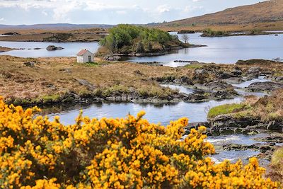 Connemara - Galway - Irlande