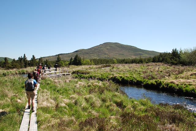 Voyage Balades et légendes irlandaises