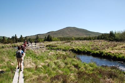 Connemara - Irlande