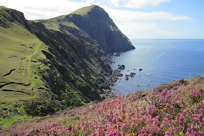 Falaise de Clare Island - Irlande