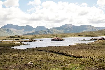 Killary Harbour - Connemara - Irlande