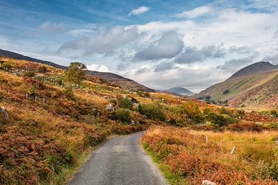 Kenmare Road - Comté de Kerry - Irlande