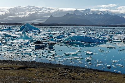 Jokulsarlon – Islande 