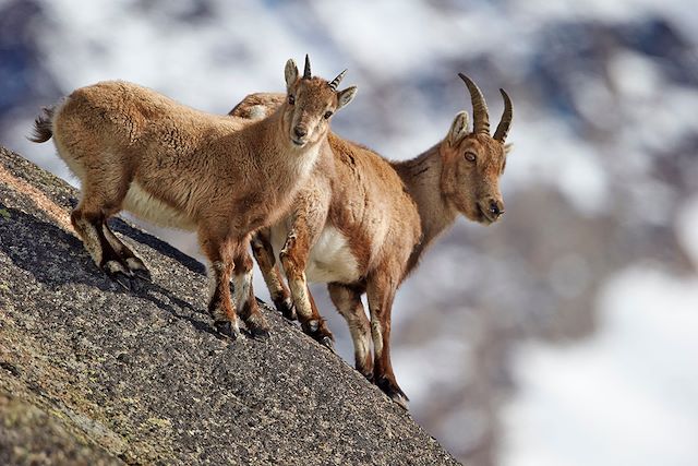 Voyage Trek du Grand Paradis, val d’Aoste