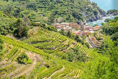 Voyage Cinque Terre à la Toscane