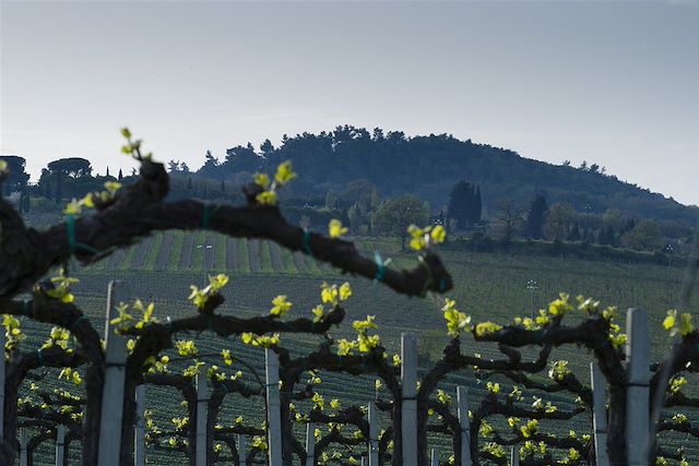 Voyage La Toscane à vélo, confort et charme du Val d'Elsa