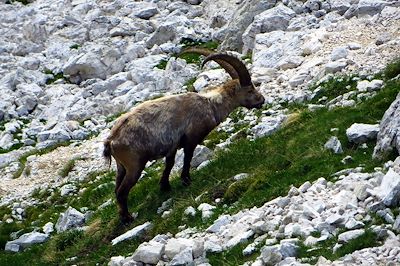 Dolomites - Citadelles Alpines - Italie 