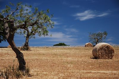 La Vallée d'Itria dans la région des Pouilles - Italie