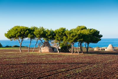 Roadtrip dans les Pouilles, trulli et mer azur 