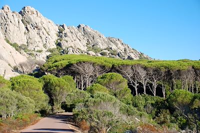 Île de Caprera - Archipel de la Maddalena - Sardaigne - Italie