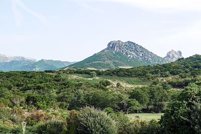 Plateau du Golgo - Italie