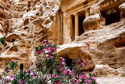 La cité antique de Pétra - Jordanie