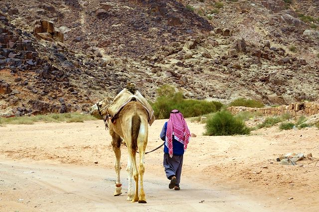 Voyage Jordanie, royaume de roche et de sable