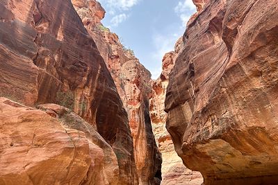 Petra - Jordanie