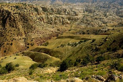 Le Wadi Hamra - Jordanie