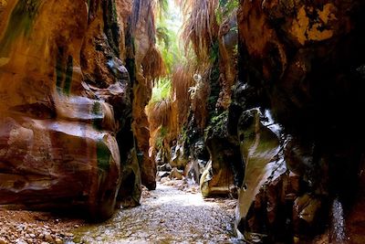 Le Wadi Ibn Hammad - Jordanie