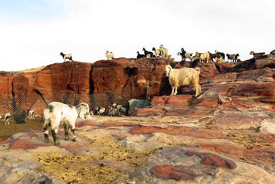 Wadi Sabrah - Jordanie