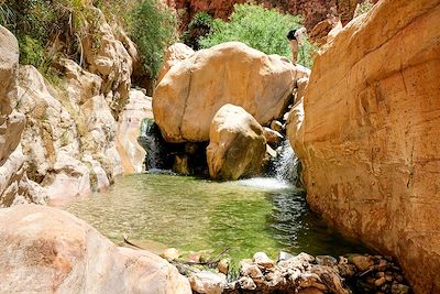 Wadi Ghuweir - Jordanie