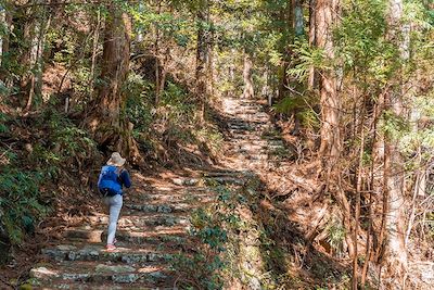 Randonnée sur le chemin de pèlerinage Kumano Kodo - Japon