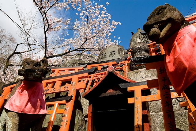 Voyage Voyage insolite au Japon, de Tokyo à Miyajima