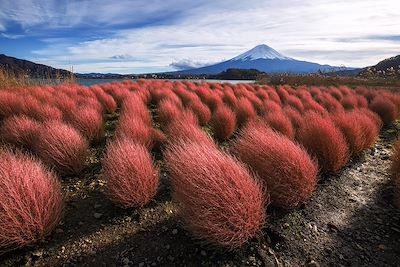 Voyage Japon