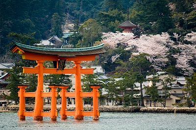 Torii flottant - île de Miyajima - Japon