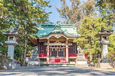 Sanctuaire Tosho-gu - Japon