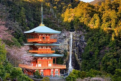 Temple Seiganto-ji - Japon