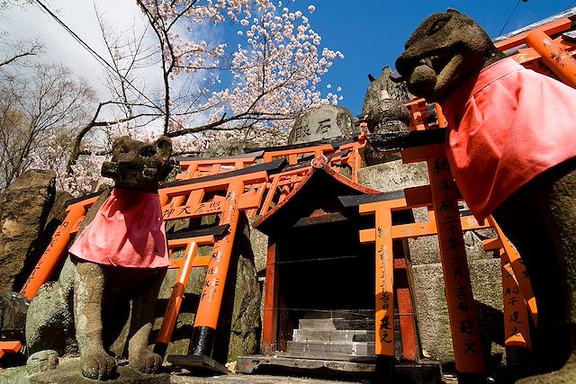 Voyage De Tokyo à Kyoto : Fuji, mangas et gyozas