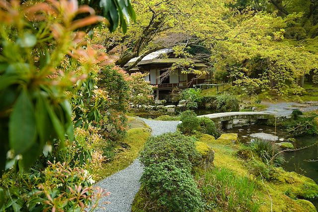 Voyage De Tokyo à Kyoto : Fuji, mangas et gyozas