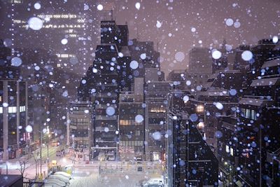 Neige à Tokyo - Japon