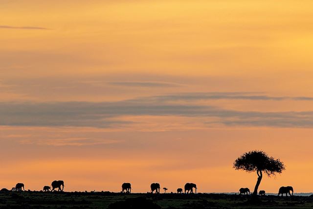 Voyage Karibuni Kenya !