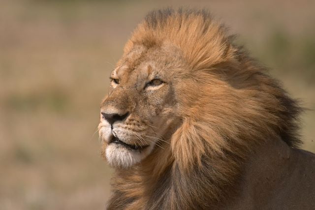 Voyage Escapade de charme au Kenya