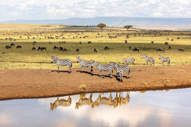 Voyage Safaris & détente au Kenya 