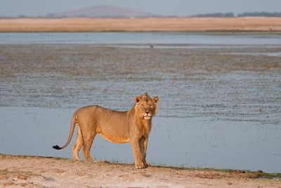 Ol Donyo Lodge - Chyulu Hills - Kenya