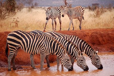 Voi Wildlife Lodge - Parc de Tsavo Est