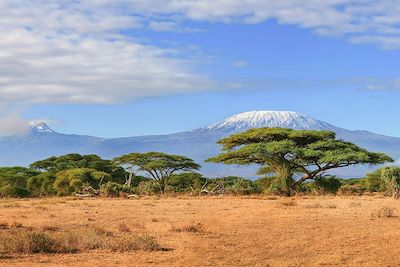 Le Kilimandjaro, vu depuis le Kenya