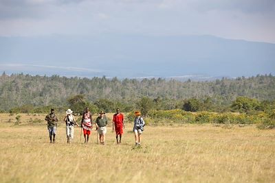 Plateau de Laikipia - Forêt de Mugokodo - Kenya