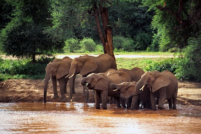 Voyage Kenya magique entre parcs nationaux et ranch privé