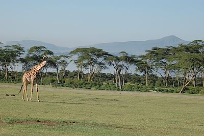 Sanctuaire de Crescent Island - Parc du Lac Naivasha - Kenya