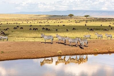 Voyage Région des lacs du Kenya