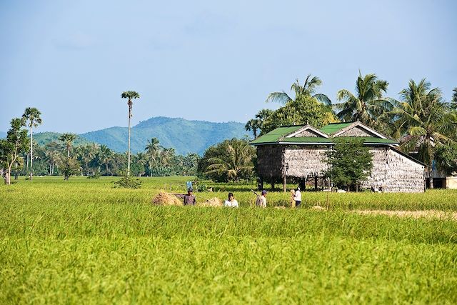 Voyage Des temples d'Angkor au rivage de Kep