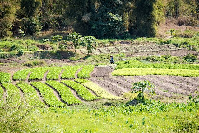 Voyage Balade laotienne